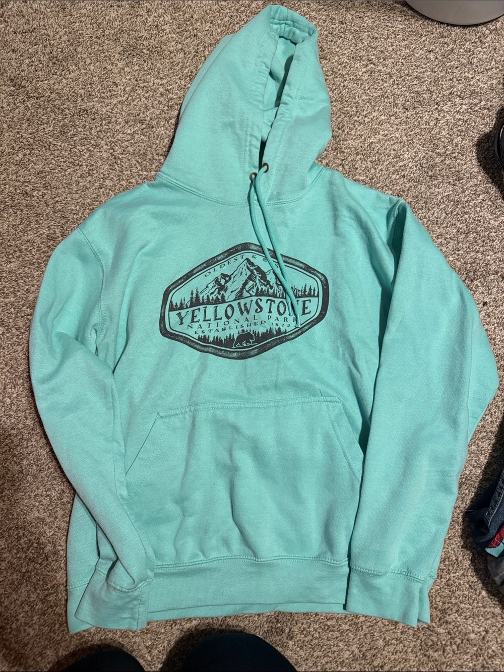 Logo Pullover Hoodie - Aqua